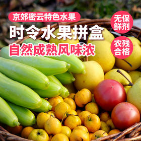 【送礼必备】时令水果礼盒 应季新鲜自然熟小蜜梨黄山楂精品水果礼盒   节日礼盒 可支持企业定制