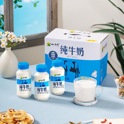 【光明&小西牛】青藏高原纯牛奶 青海牛奶 高原特色瓶装牛奶243ml*12瓶 商品图6