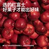 【甄选】酸甜苹果脆香甜酥脆细腻有嚼劲健康非油炸30g*5袋 商品缩略图4