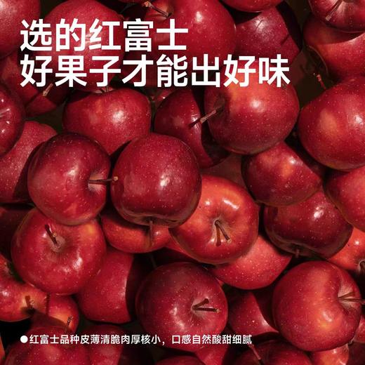 【甄选】酸甜苹果脆香甜酥脆细腻有嚼劲健康非油炸30g*5袋 商品图4