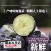 云南现摘蓝莓 果肉饱满 酸甜浓郁 高山生态新鲜水果 商品缩略图4