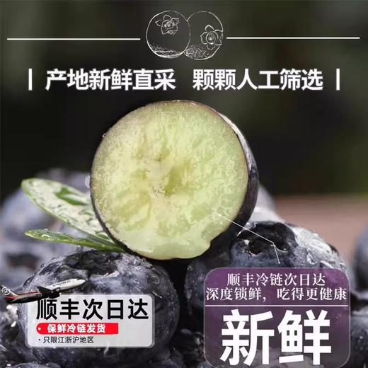 云南现摘蓝莓 果肉饱满 酸甜浓郁 高山生态新鲜水果 商品图4