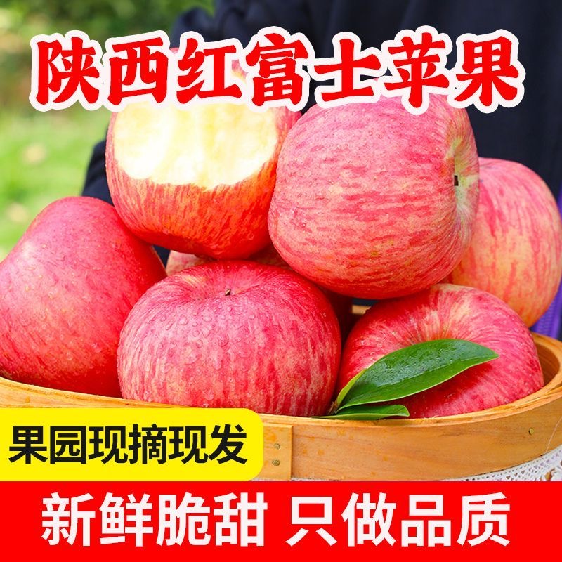 【当季现摘❗️陕西红富士苹果8.5斤更值】皮薄肉厚，新鲜脆甜，鲜嫩可口，好吃营养！整箱水果圣诞节礼物平安夜平安果
