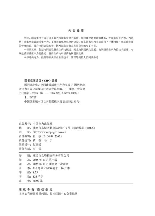 国网湖北电力电网建设新质生产力实践 商品图3