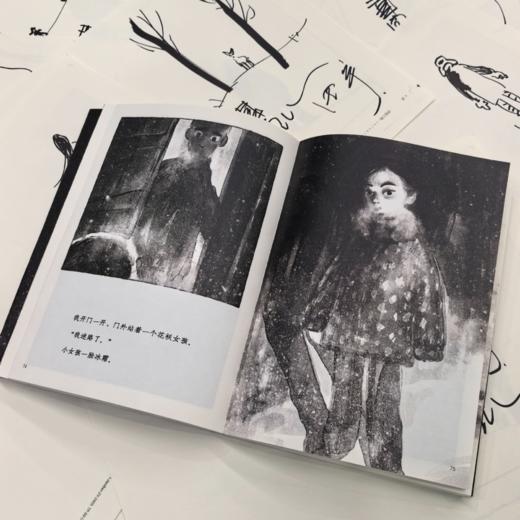 【彭懿田宇双签】雪鹿 一个安静的成长故事 一场与时光对抗的羁绊 商品图4