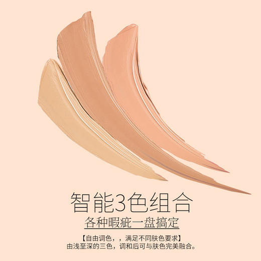 KohGenDo 江原道 保湿滋润三色遮瑕膏 4g 商品图3