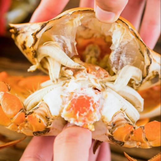 有机全油黄油蟹 3两/只 商品图2