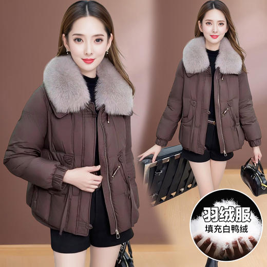 QYM LC05白鸭绒羽绒服洋气毛领外套 商品图3