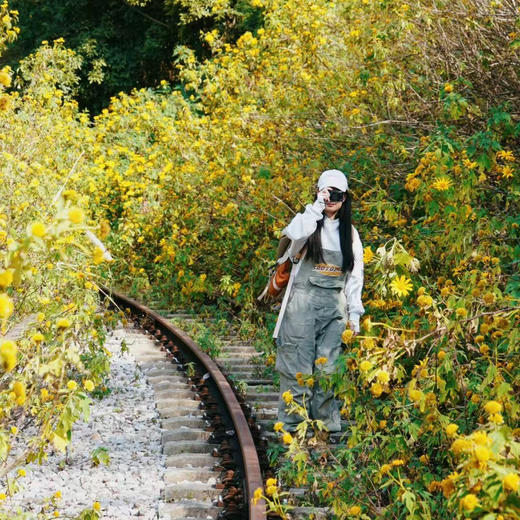 成人特惠｜12.31周三徐家渡百年滇越铁路徒步，探寻历史遗迹，闯入无人金黄向日葵（菊芋）花海铁轨！ 商品图0