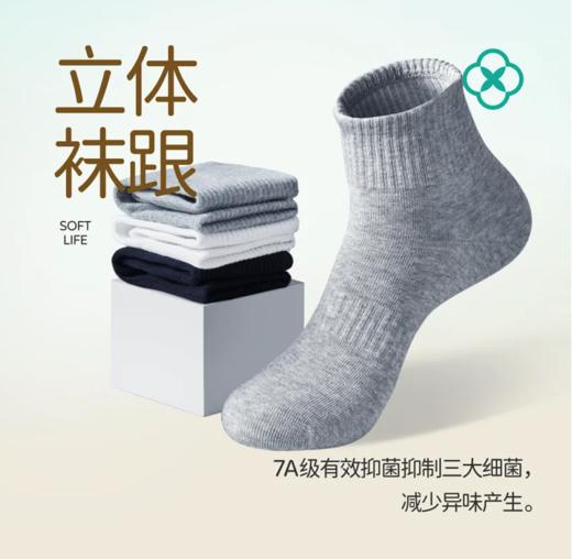 【谭棉花运动袜中/高筒袜】宽口亲肤袜6双/袋 袜子 商品图2