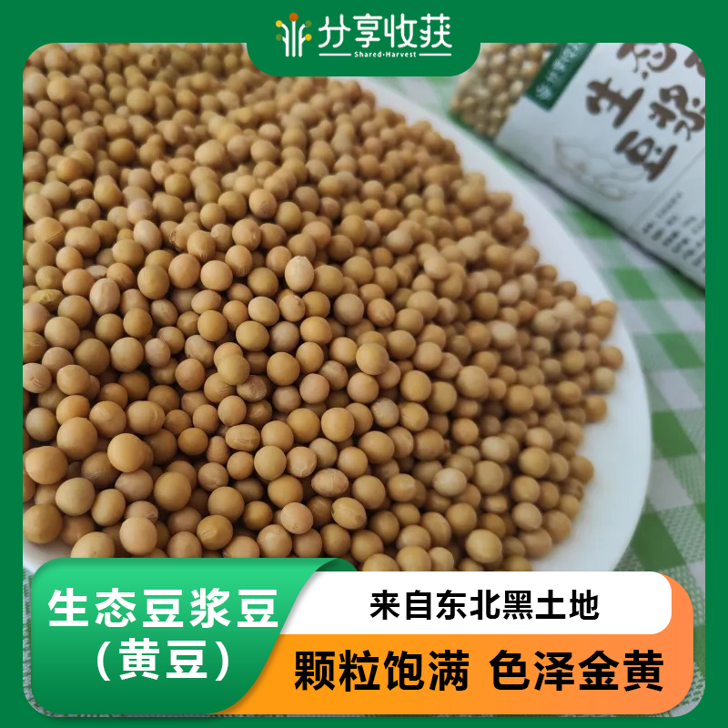 生态豆浆豆（黄豆） | 来自东北黑土地 | 公平贸易*Ecological soybean milk beans