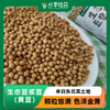 生态豆浆豆（黄豆） | 来自东北黑土地 | 公平贸易*Ecological soybean milk beans 商品缩略图0