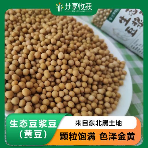 生态豆浆豆（黄豆） | 来自东北黑土地 | 公平贸易*Ecological soybean milk beans 商品图0