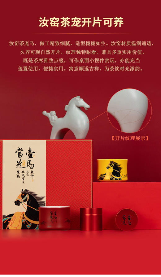 一马当先.香茗茶礼 商品图9