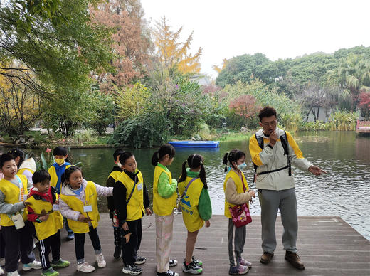 12.13/12.21❗跨越千年之约🍁【“又到杏黄时”银杏主题半日游学】 🍁落叶飘舞，满地金黄 🌳唐代千年银杏生长、季相分析，结构观察分析，可以吃的博物课 🎨打开五感寻找秋季色盘，感受生命美好 商品图2