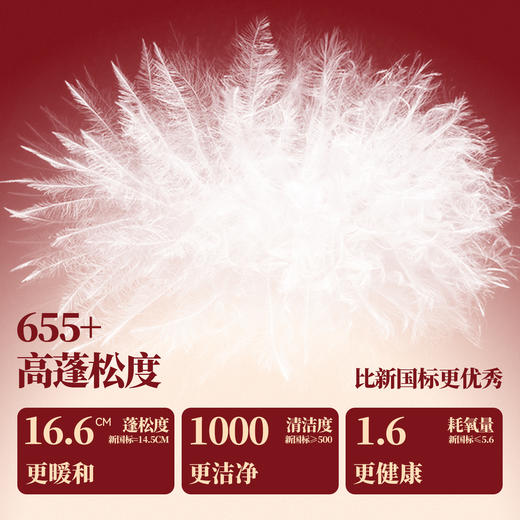 【新年波】男女童中长款羽绒服春季新款安奈儿童装EM615515 商品图2