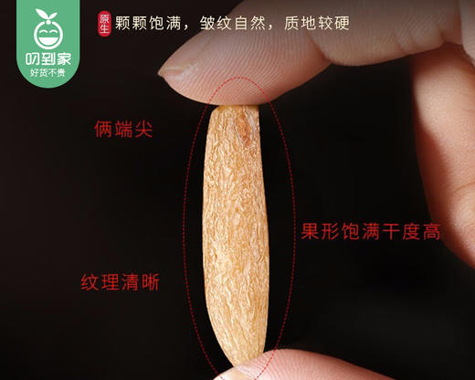 四川麦冬（干货）/1罐（150g）生产日期：25年15月 商品图2