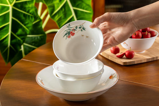 菜菜首款定制碗碟餐具|三餐四季的具象化，一起好好吃饭 商品图0