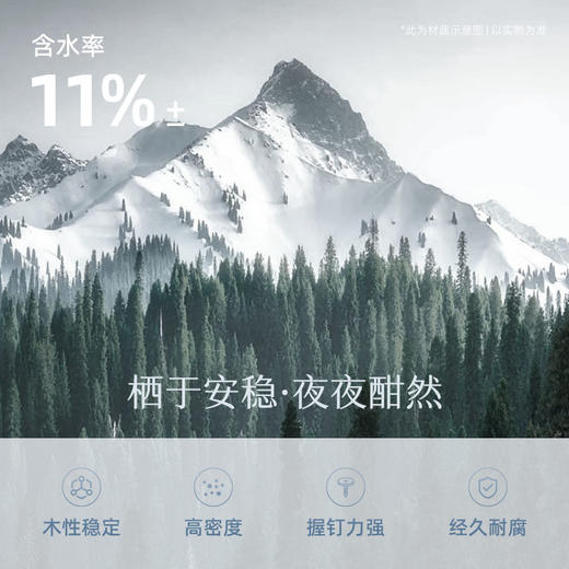 AF8803真皮床架 商品图3