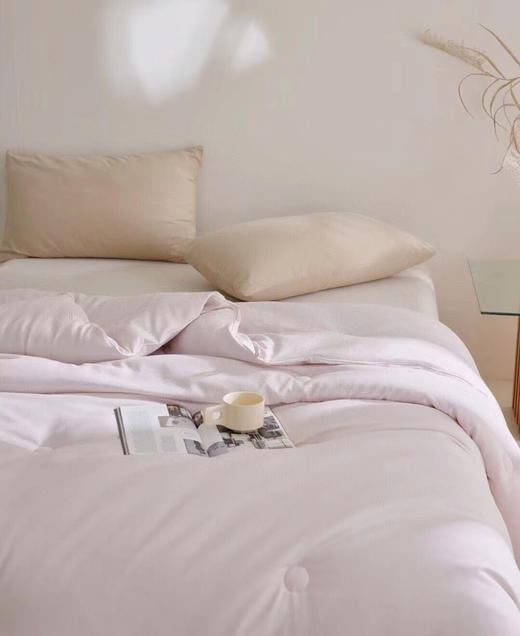 LHX 2593 无印风蚕丝＋蚕丝棉被 商品图3