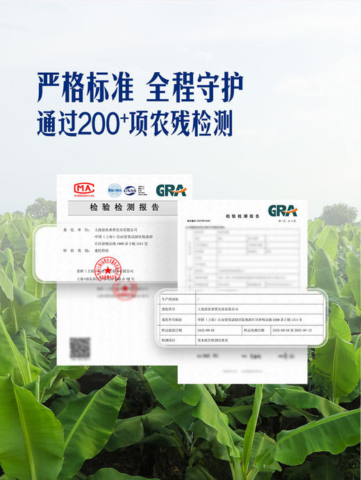 MM 山姆 进口皇帝蕉 600g 商品图2