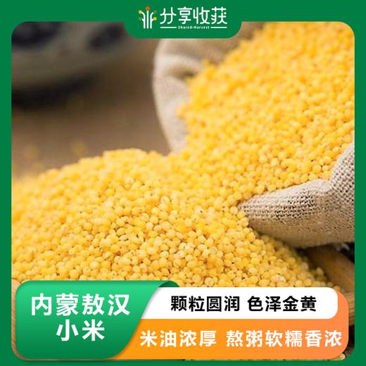 内蒙敖汉小米 米油浓厚 | 公平贸易 * Aogu Variety Millet | Fair Trade 商品图0