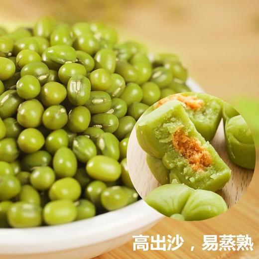 豫粮优选·五谷粮品绿豆900g  颗粒饱满 易煮出沙 商品图2