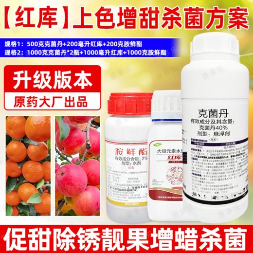 红库上色增甜亮果杀菌方案克菌丹胺鲜酯红库转色增甜正牌杀菌剂 商品图4