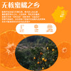 涌泉蜜桔蜜桔橘子新鲜水果 商品缩略图1