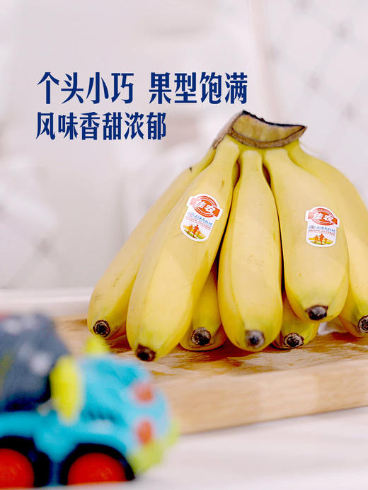 MM 山姆 进口皇帝蕉 600g 商品图1
