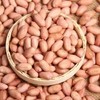 豫粮优选·五谷粮品白沙花生 多规格任选 籽粒圆润饱满 光滑鲜嫩 商品缩略图2