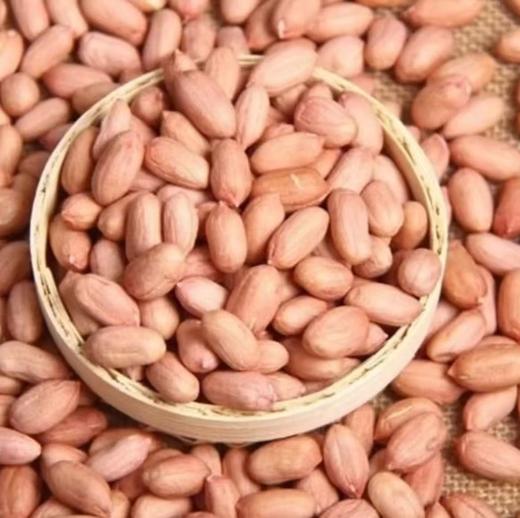 豫粮优选·五谷粮品白沙花生 多规格任选 籽粒圆润饱满 光滑鲜嫩 商品图2