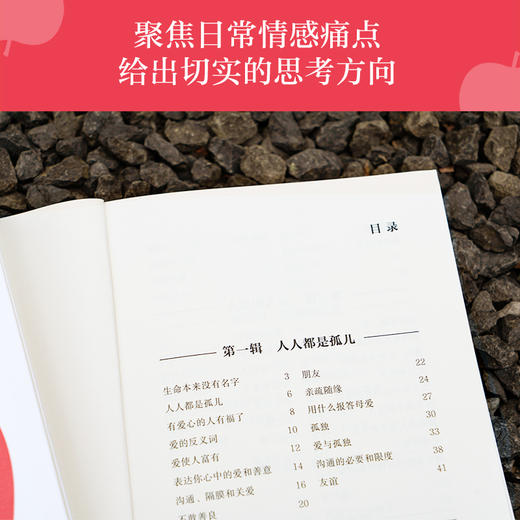 爱与孤独 商品图1