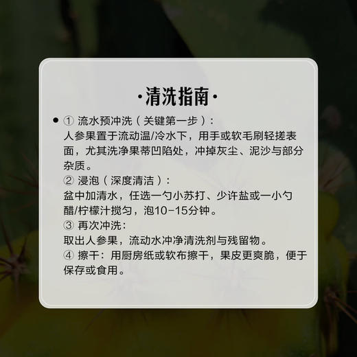 MM 山姆 云南人参果 1kg 商品图6