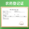 榄菊电蚊香液6瓶+2器 无香型菊之语热门商品电热蚊香液电蚊香驱蚊液 商品缩略图0