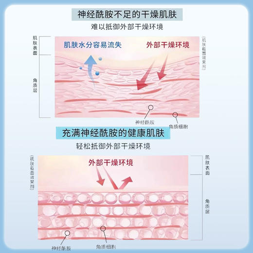 Curel珂润 润浸保湿滋养乳霜 保湿面霜 40g【BS】 商品图2