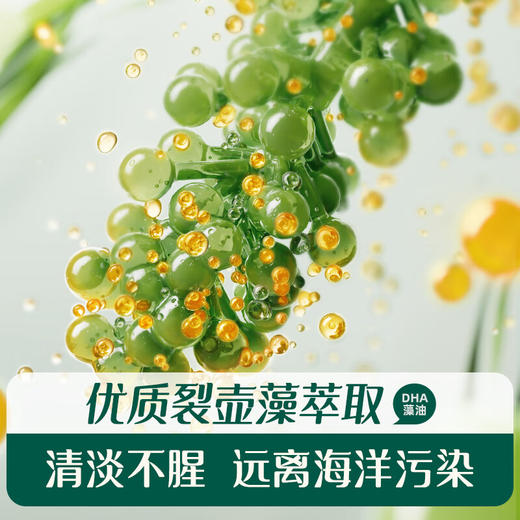 英氏有机DHA核桃油110ml 商品图2