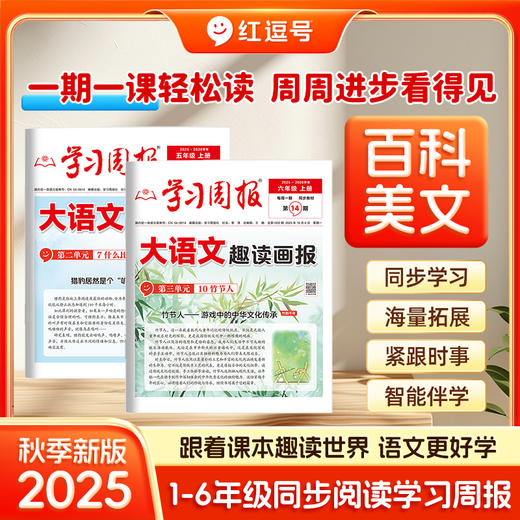 学习周报大语文趣读画报 期刊杂志人教版单元练习册配套教材同步扩展阅读一二三四五六年级上册小学生语文知识点大全每日一练【悦刊图书】 商品图0