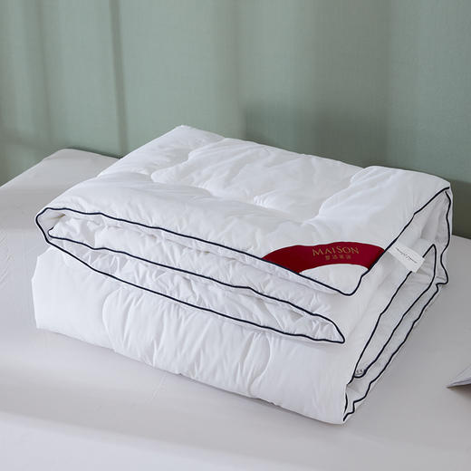 梦洁 素馨羽丝绒四季被 1500g 商品图2