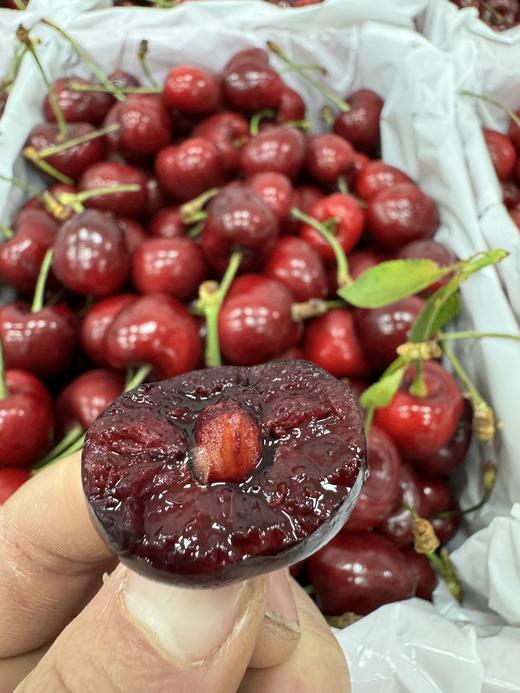 澳洲新南威尔士州红袋鼠果园车厘子 商品图3