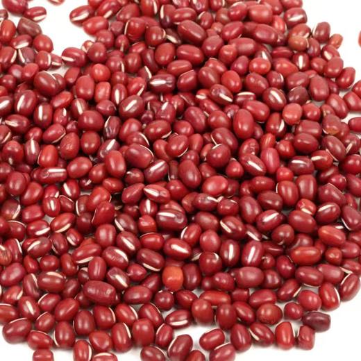 生态红豆 | 老品种 | 公平贸易 * Red Beans | Fair Trade 商品图1