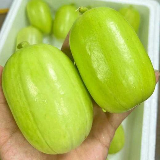 山东玉女小黄瓜 拇指大小 脆嫩清甜 新鲜现摘 商品图0