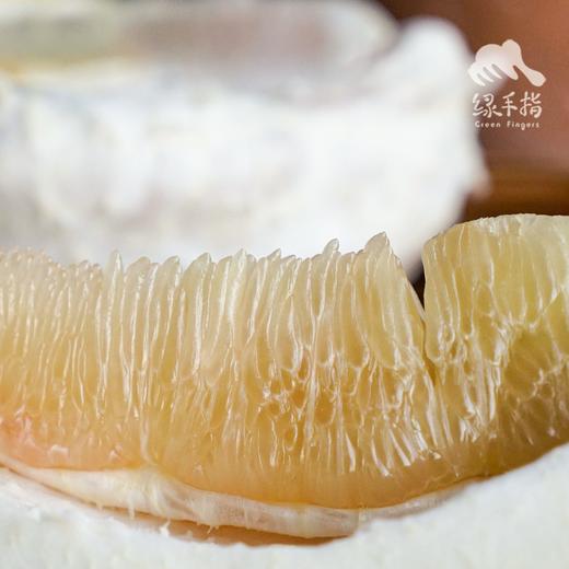 生态柚子（邮政快递） | 合作生产*Ecological pomelo | Partner Production 商品图3