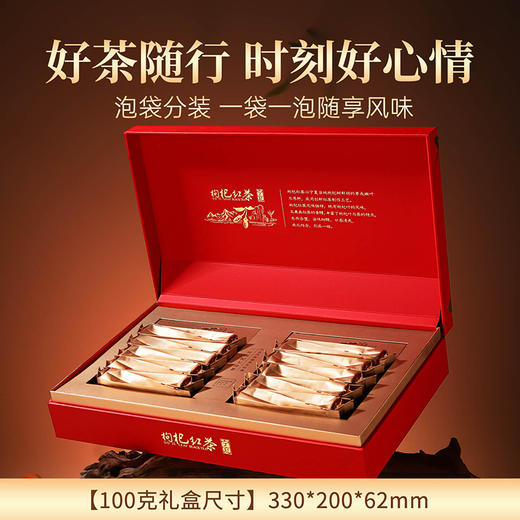 正山堂 宁夏枸杞红茶礼盒装 配伍普安红茶正宗枸杞叶茶叶100g/180g 商品图1