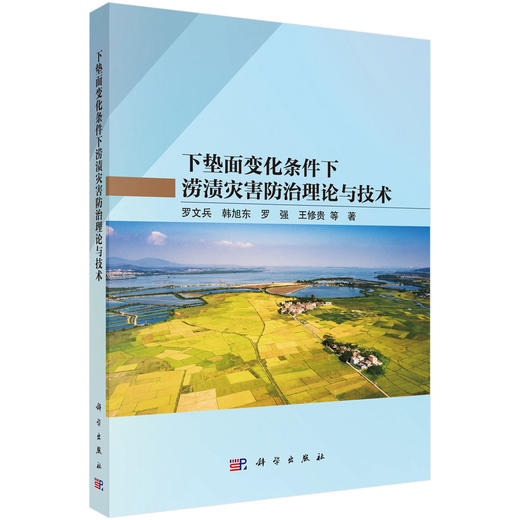下垫面变化条件下涝渍灾害防治理论与技术 商品图0