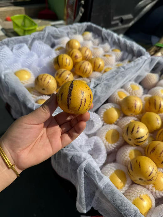 宏丰精选 七彩人参果 黄肉  水份足，口感很好，活动价9.9元一斤 商品图2