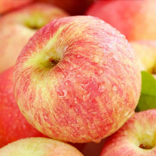 公益助农 山西2025新果农家自种红富士苹果10斤装 商品图0