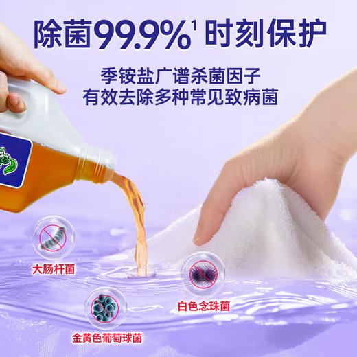 全家清洁套组！【水卫士家居除菌液】  0329返团 商品图5