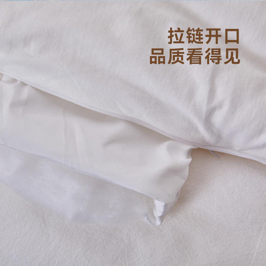 多喜爱 素原纯棉棉花加厚冬被203*229CM【全棉A类面料】【新疆脱脂棉填充】【蓬松柔然不板结】 商品图6
