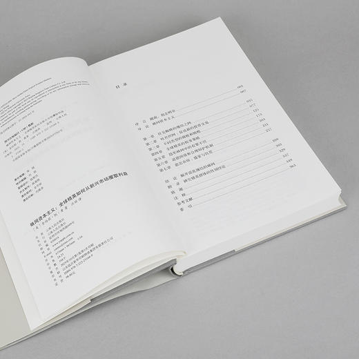 蛛网资本主义：全球精英如何从新兴市场攫取利益（理想国译丛074） 商品图6